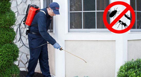 Arnavutköy Karınca İlaçlama böcek ilaçlama ve haşere kontrolü — ilaclama-tr.com